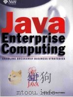Java Enterprise Computing ENABLING BREAKAWAY BUSINESS STRATEGIES     PDF电子版封面     