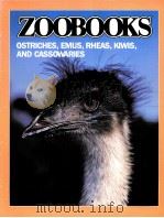 ZOOBOOKS OSTRICHES，EMUS，RHEAS，KIWIS，AND CASSOWARIES     PDF电子版封面     