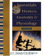 ESSENTIALS OF HUMAN ANATOMY & PHYSIOLOGY SISTH EDITION     PDF电子版封面  0805349405   