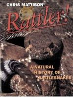 Rattler  CHRIS MATTISON     PDF电子版封面     