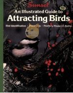 An Illustrated Guide to Attracting Birds（ PDF版）