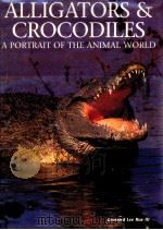 ALLIGATORS & CROCODILES A PORTRAIT OF THE ANIMAL WORLD     PDF电子版封面  0831708700   