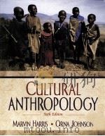cultural anthropology sixth edition     PDF电子版封面     