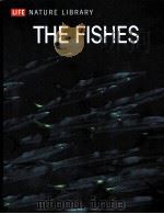 LIFE NATURE LIBRARY THE FISHES（ PDF版）