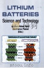 LITHIUM BATTERIES Sciencs and Technology（ PDF版）