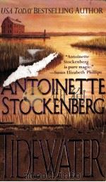 TIDEWATER ANTOINETTE STOCKENBERG     PDF电子版封面     