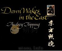 DAWN WAKES IN THE CAST AUDREY JOPPING     PDF电子版封面     