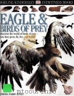 EYEWITNESS BOOKS EAGLE & BIRDS OF PREY     PDF电子版封面  0789458608   