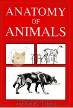 ANATOMY OF ANIMALS     PDF电子版封面  0517050242   