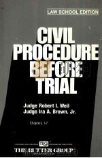 CIBIL PROCEDURE BEFORE TRIAL CHAPTERS 1-7     PDF电子版封面     