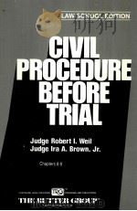CIBIL PROCEDURE BEFORE TRIAL CHAPTERS 8-9     PDF电子版封面     