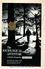 THE SOCIOLOGICAL ADVENTURE A HOLISTIC PERSPECTIVE THIRD EDITION     PDF电子版封面     