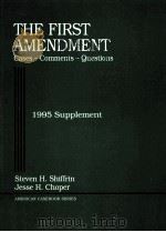 THE FIRST AMENDMENT CASES-COMMENTS-QUESTIONS 1995SEPPLEMENT     PDF电子版封面     