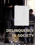 DELINQUENCY IN SOCIETY FIFTH EDITION     PDF电子版封面  0072485965   