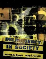 DELINQUENCY IN SOCIETY SIXTH EDITION     PDF电子版封面  9780072989687   
