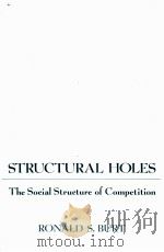 STURCTURAL HOLES     PDF电子版封面  0674843711   
