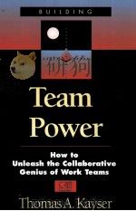 TEAM POWER HOW TO UNLEASH THE COLLABORATIVE GENIUS OF WORK TEAMS     PDF电子版封面  0786303026   