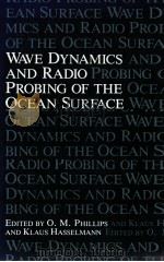 WAVE DYNAMICS AND RADIO PROBING OF THE OCEAN SURFACE     PDF电子版封面     