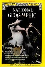 NATIONAL GEOGRAPHIC  VOL.151  NO.5  MAY 1977（ PDF版）
