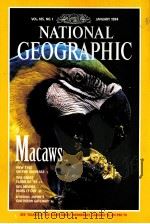 NATIONAL GEOGRAPHIC  VOL.185 NO.1 JANUARY 1994（ PDF版）