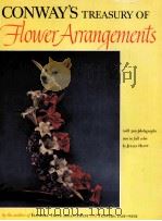 CONWAY'S TREASURY OF FLOWER ARRANGEMENTS     PDF电子版封面     