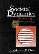 SOCIETAL DYNAMICS EXPLORING MACROSOCIOLOGY     PDF电子版封面     