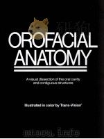 OROFACIAL ANATOMY     PDF电子版封面     