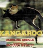 KANGAROO     PDF电子版封面     