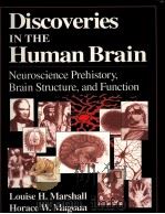 DISCOVERIES IN THE HUMAN BRAIN     PDF电子版封面  0896034356   