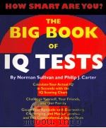 THE BIG BOOK OF IQ TESTS（ PDF版）
