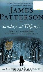 JAMES PATTERSON SUNDAYS AT TIFFANY'S     PDF电子版封面  0446199443   