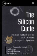 THE SILICON CYCLE（ PDF版）