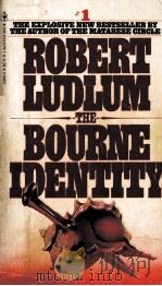 ROBERT LUDLUM THE BOURNE IDENTITY     PDF电子版封面     