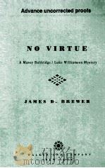 NO VIRTUE     PDF电子版封面  0802732593   