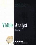 VISIBLE ANALYST（ PDF版）