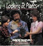 LOOKING AT PLANTS（ PDF版）
