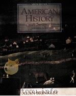 AMERICAN HISTORY A SURVEY VOLUME I:TO 1877 NINTH EDITION     PDF电子版封面     