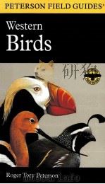 A FIELD GYIDE TO WESTERN BIRDS   1990  PDF电子版封面  0395911737   