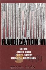 FLUIDIZATION VI   1989  PDF电子版封面  0816904596   
