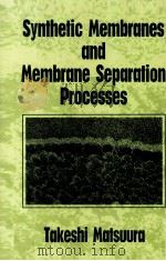Synthetic Membranes and Membrane Separation Processes（1994 PDF版）