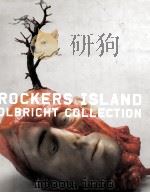 Rockers island : olbricht collection     PDF电子版封面  9783865214713   
