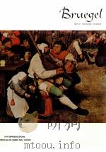 Pieter Bruegel     PDF电子版封面  4568160111   