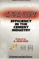ENERGY EFFICIENCY IN THE CEMENT INDUSTRY   1990  PDF电子版封面  1851665463   