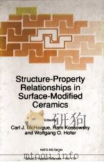 Structure-Property Relationships in Surface-Modified Ceramics   1989  PDF电子版封面  0792303105   