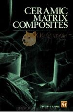 Ceramic Matrix Composites   1993  PDF电子版封面  0412367408   