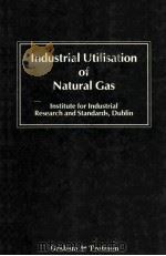 Industrial Utilisation of Natural Gas   1987  PDF电子版封面  0860109801   