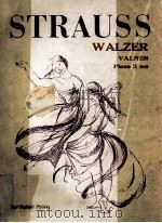 STRAUSS WALZER  VALSES PIANO 2 MS     PDF电子版封面     