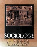 Sociology（1985 PDF版）