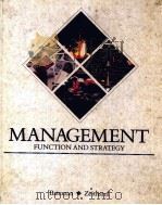 MANAGEMENT FUNCTION AND STRATEGY   1990  PDF电子版封面  0256057338   