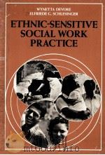 ETHNIC-SENSITIVE SOCIAL WORK PRACTICE   1986  PDF电子版封面  067520593X   